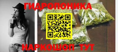 кокс Можга