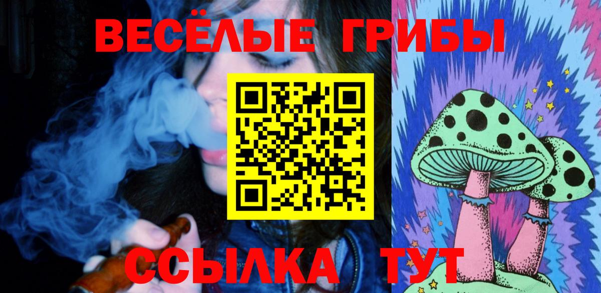 Псилоцибиновые грибы прущие грибы  Вход с VPN  Ставрополь 