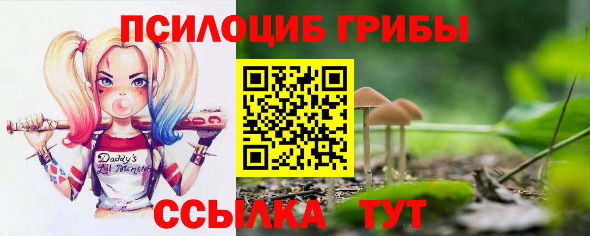 Псилоцибиновые грибы Magic Shrooms Ставрополь